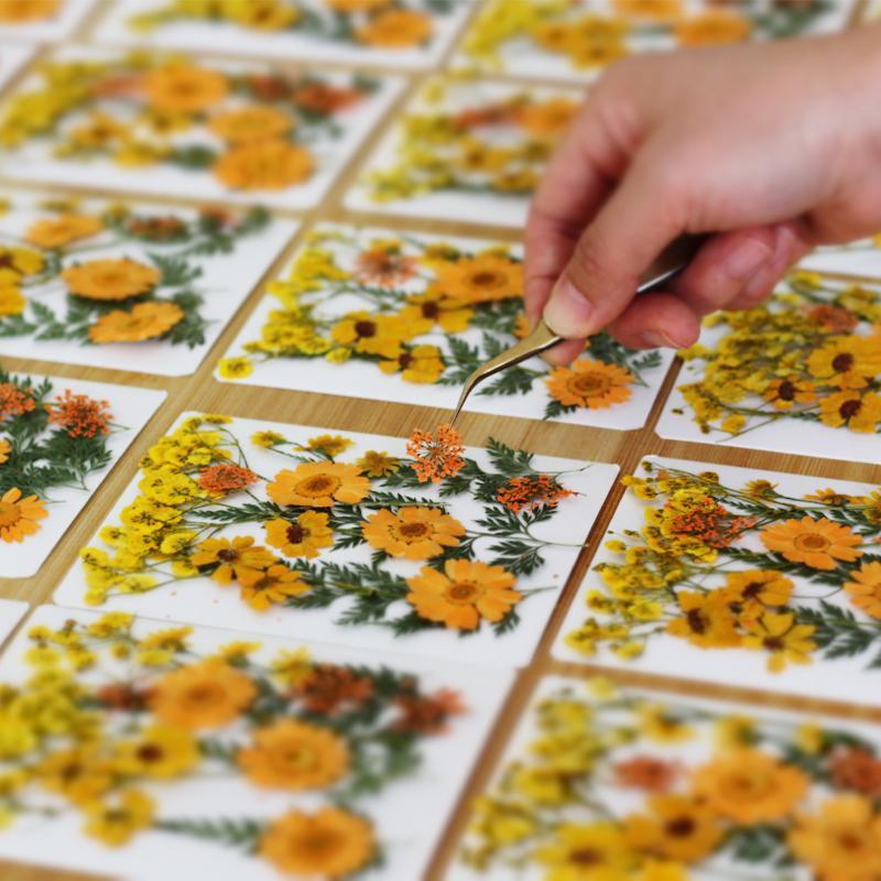 زهور نباتية طبيعية مجففة ومضغو - مراجعة Flower Preservation Resin وسعره