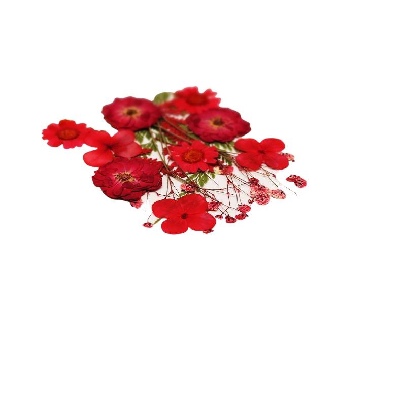 زهور نباتية طبيعية مجففة ومضغو - مراجعة Flower Preservation Resin وسعره